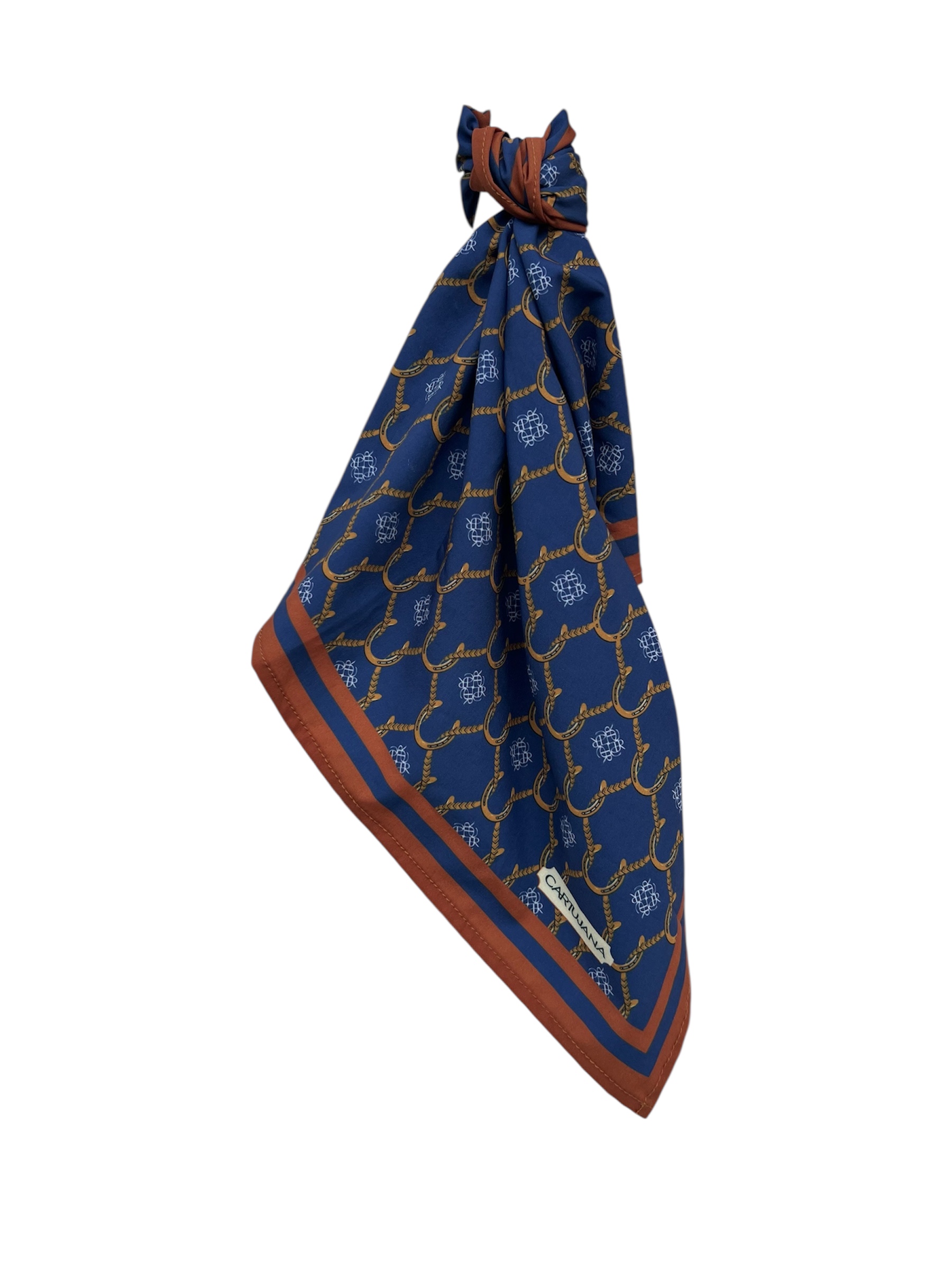 Pañoleta / Scarf